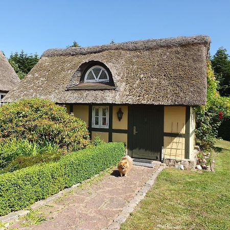 Zara'S B&B Horsens Kültér fotó