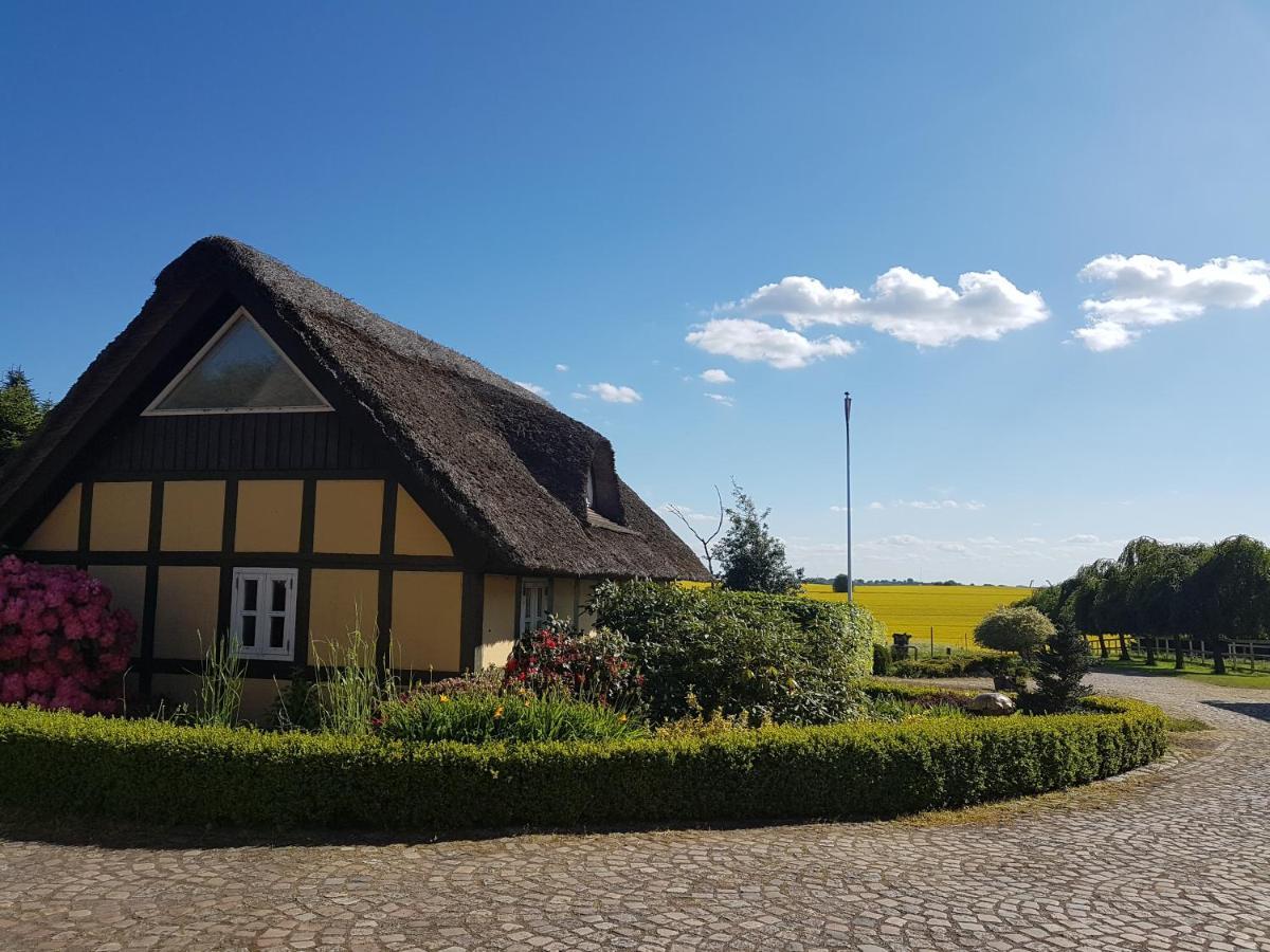 Zara'S B&B Horsens Kültér fotó