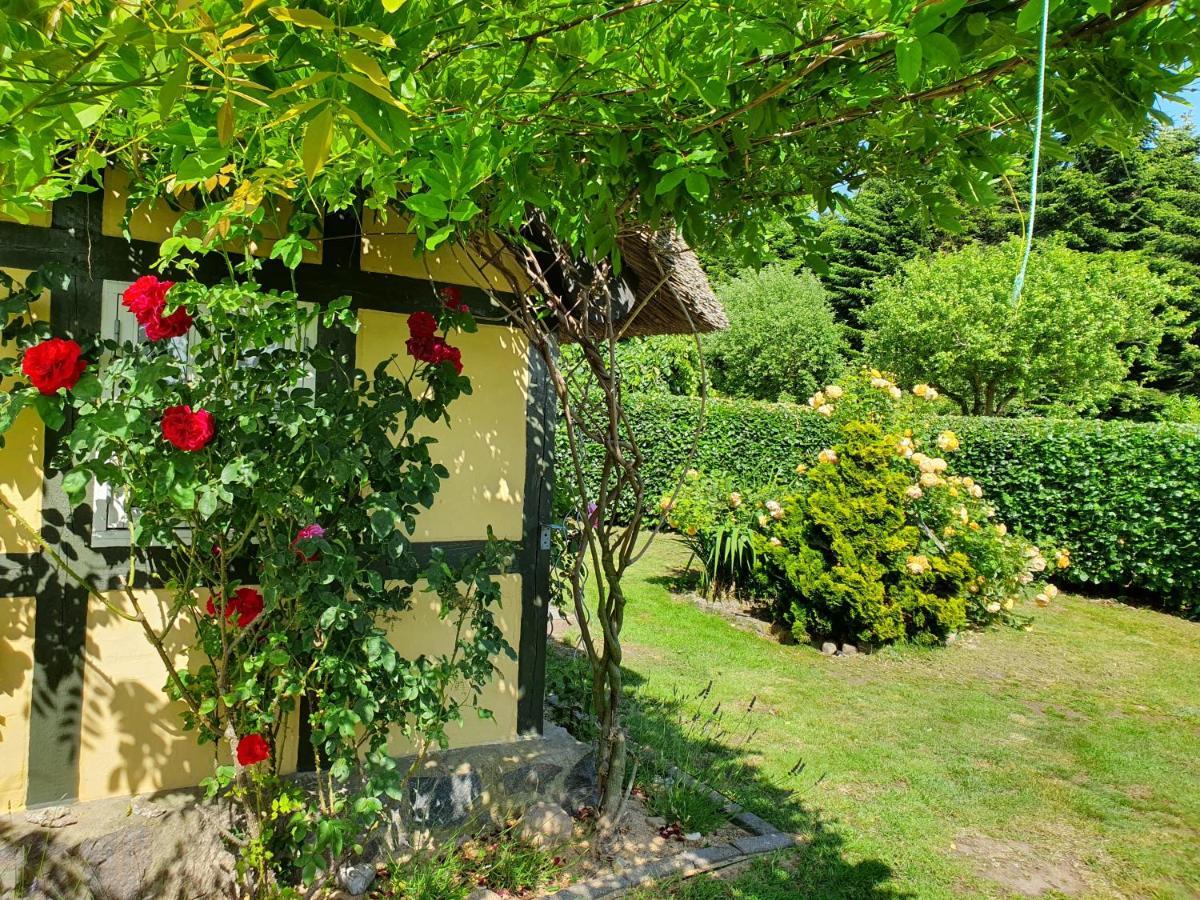 Zara'S B&B Horsens Kültér fotó