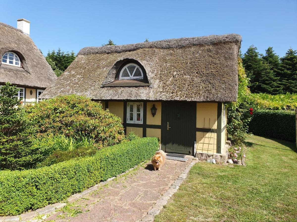 Zara'S B&B Horsens Kültér fotó
